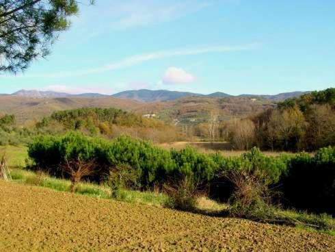 Agriturismo Campo Del Monte Campogialli Екстер'єр фото