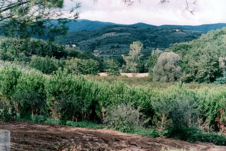 Agriturismo Campo Del Monte Campogialli Екстер'єр фото